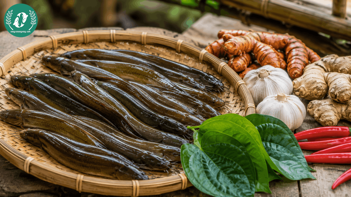Chạch Đồng Nguyên Con – Đặc Sản Dân Dã, Thịt Ngọt Đậm Và Dễ Chế Biến - Ảnh 5