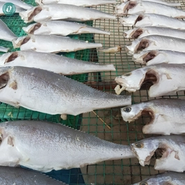 anh dai dien 265x265 1