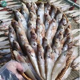 anh dai dien