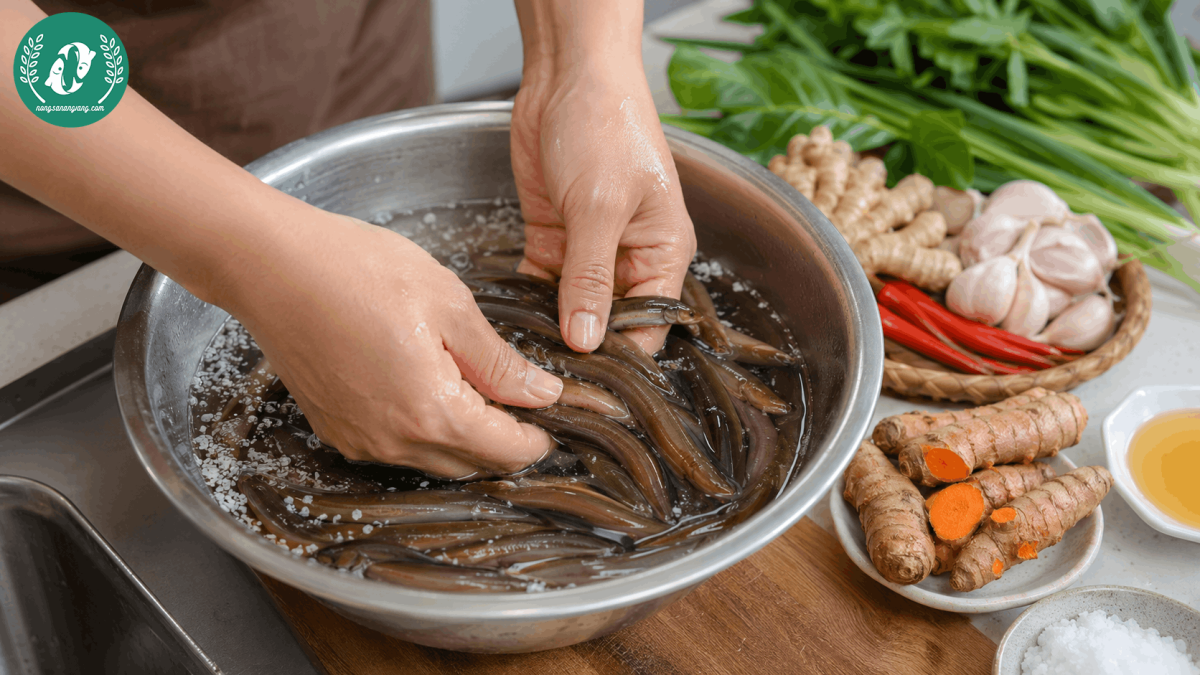 Chạch Đồng Nguyên Con – Đặc Sản Dân Dã, Thịt Ngọt Đậm Và Dễ Chế Biến - Ảnh 4