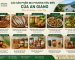 Các sản phẩm địa phương tiêu biểu của An Giang